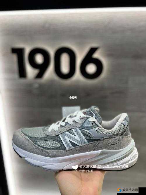 990V6 美版和亚洲版有何区别:详细对比分析及差异解析