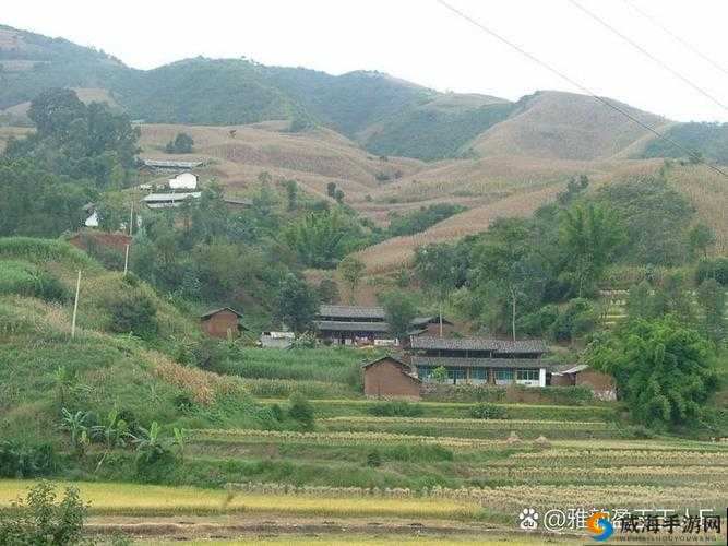 com.魅狐直播北部网站：一个充满神秘色彩与独特魅力的地方