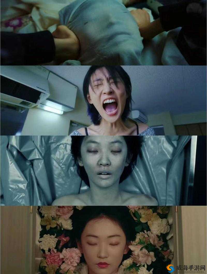 日韩精品璜铯大片：视觉与情感的极致体验