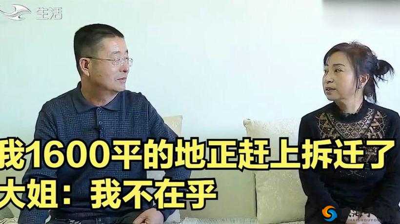 一起草cnn：关于它的深入探讨与全面分析