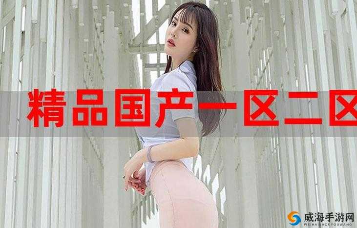 国内国精产品一二三区传媒:引领优质内容传播新潮流