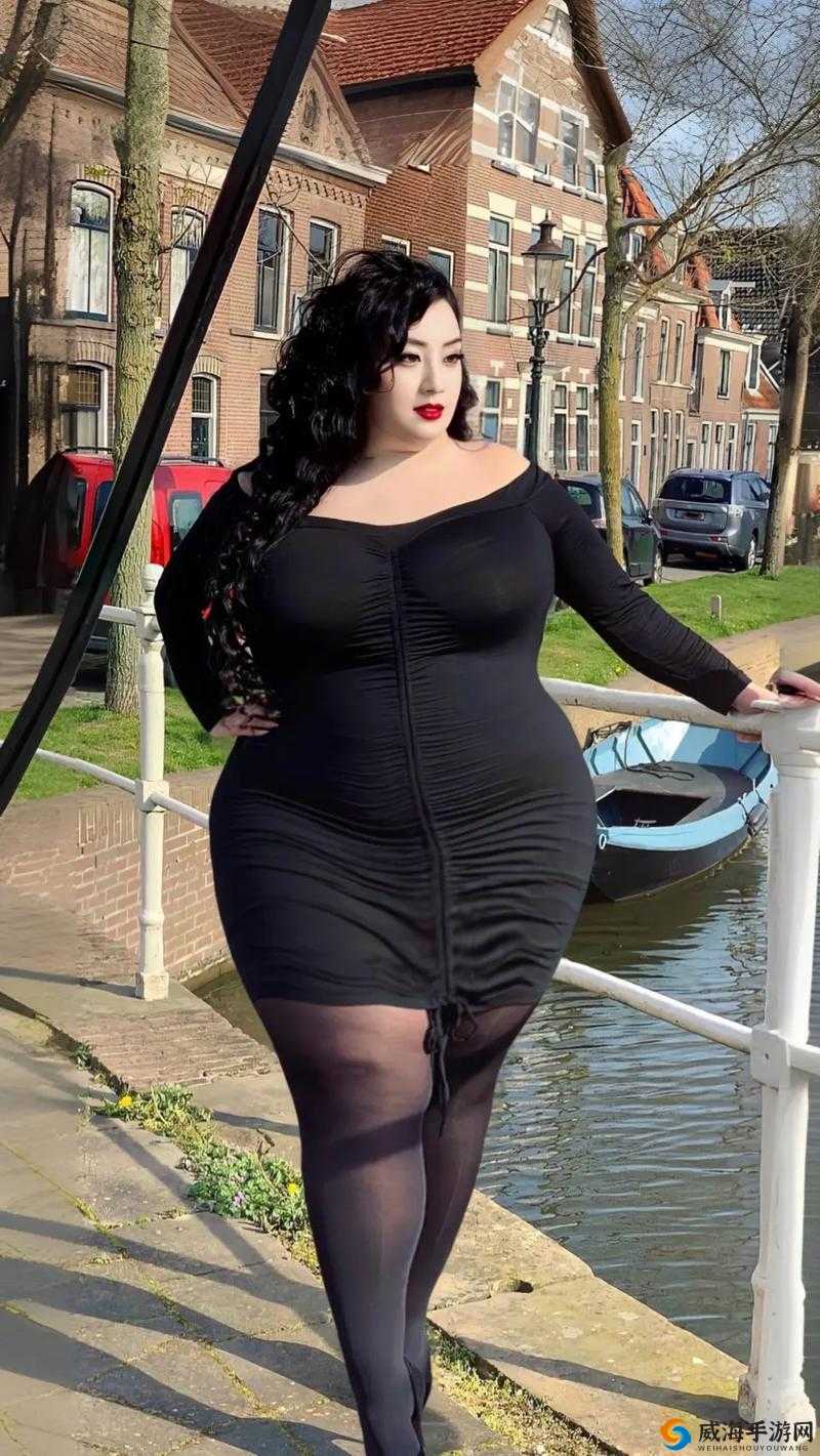 大陆少妇 BBwBBw 高潮:探究女性性体验的多样性