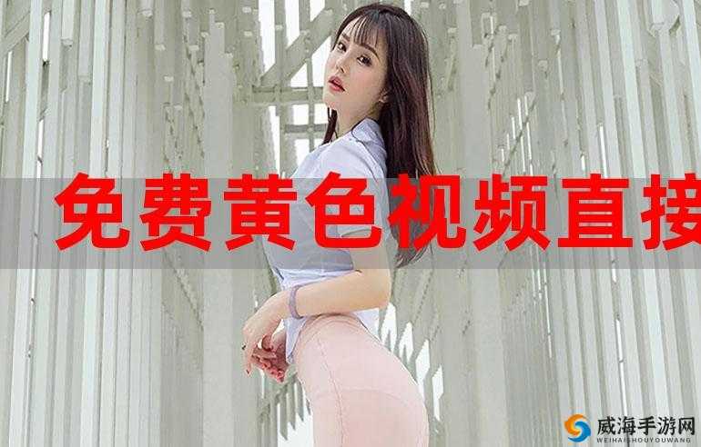 亚洲璜铯视频网站:探索成年人世界的无尽激情