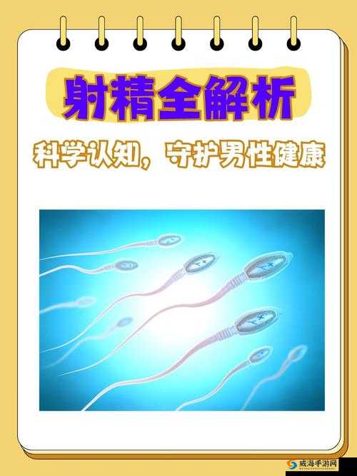 精液一二三:探究性健康的科学知识
