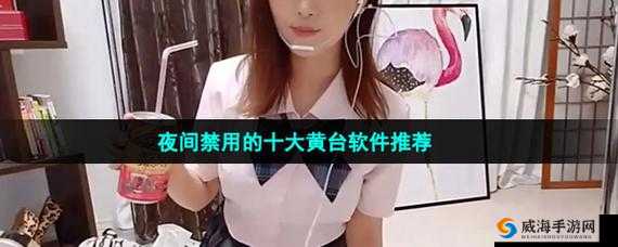 404 夜黄台软件大全:探索别样精彩软件世界