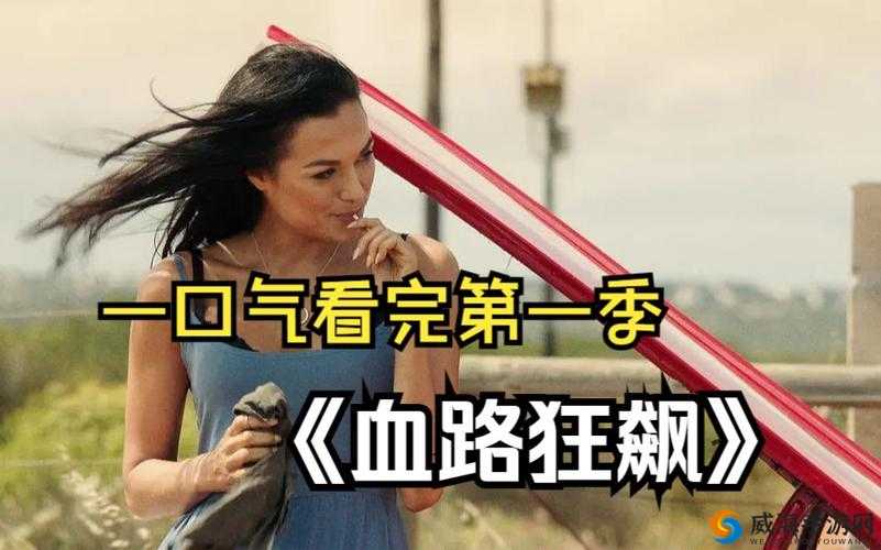 成？版血路狂飙：一部充满刺激与挑战的独特作品