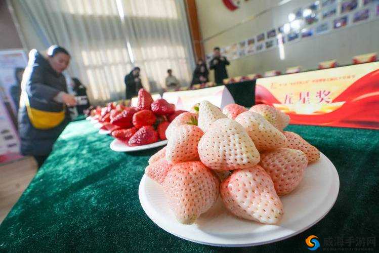 草莓退役视频:传奇落幕的精彩瞬间