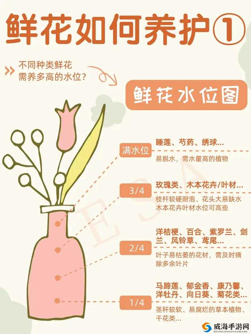 娇嫩欲滴的花:如何正确养护和欣赏