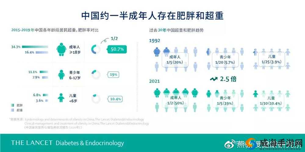 中国大肥胖 VPSWINDOWS:探讨肥胖问题的新视角