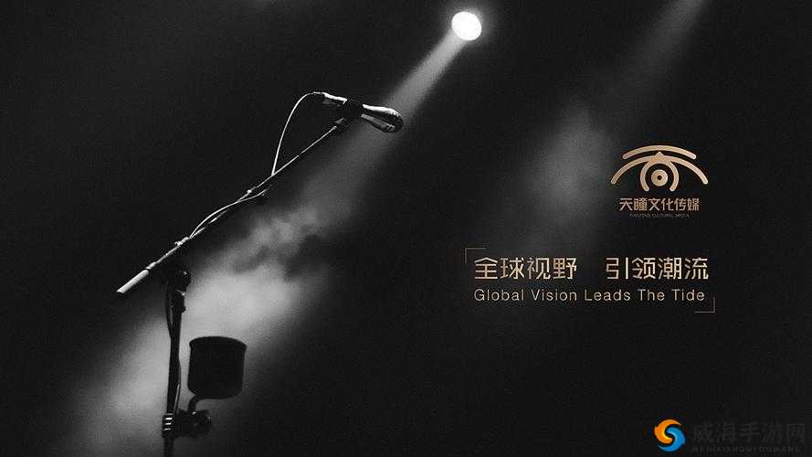 麻花星空无限传媒有限公司：引领娱乐新潮流
