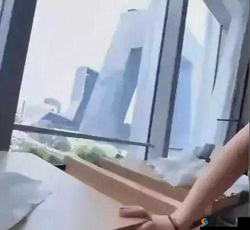 张津瑜 6 分视频事件引发的深度思考