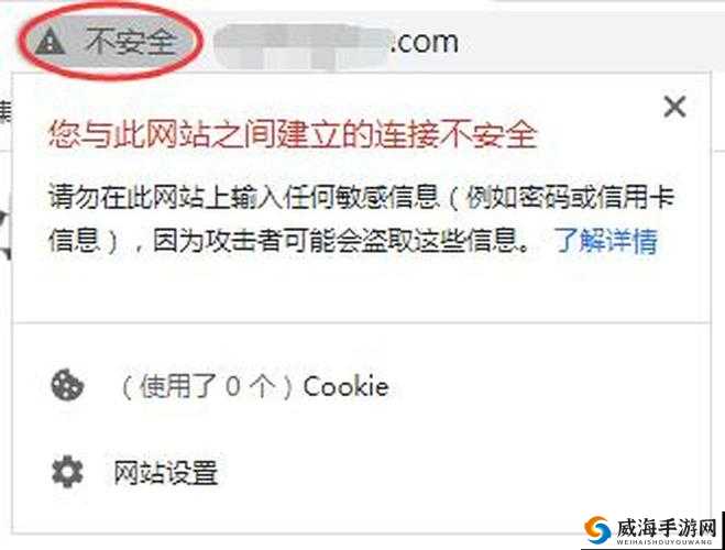 浏览器直接进入网站的注意事项：安全防护与隐私保护不容忽视