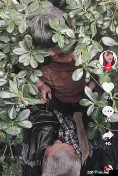 老妇被射事件引发社会广泛关注:贝射老妇事件始末