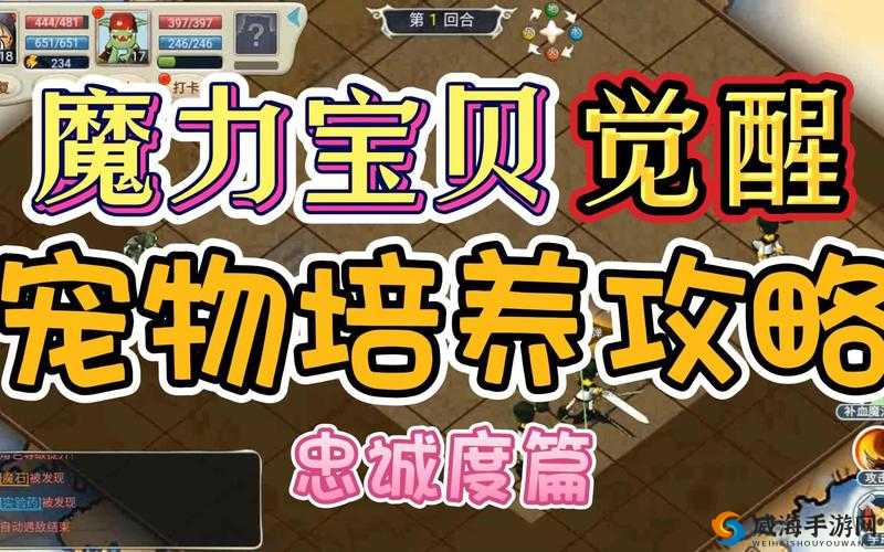 魔力宝贝手游宠物的选择与培养攻略，资源管理的艺术