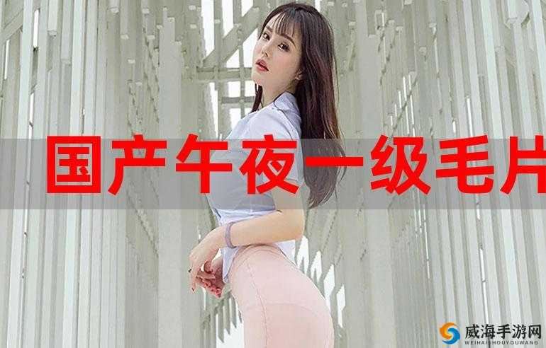 国产璜铯大片：一段鲜为人知的电影历史