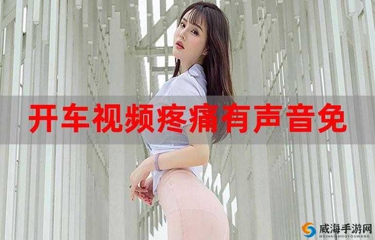 开车疼痛有声音免费下载网站相关资源及精彩内容呈现