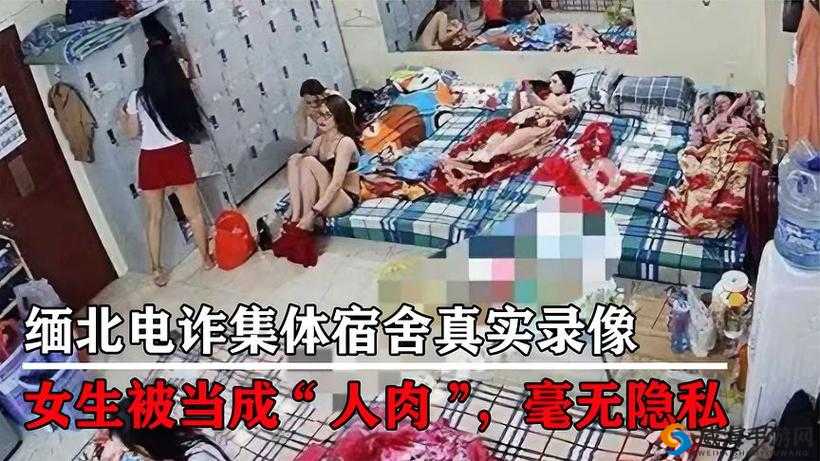 缅北珍珠奶茶刑罚过程视频:揭秘令人毛骨悚然的残酷真相