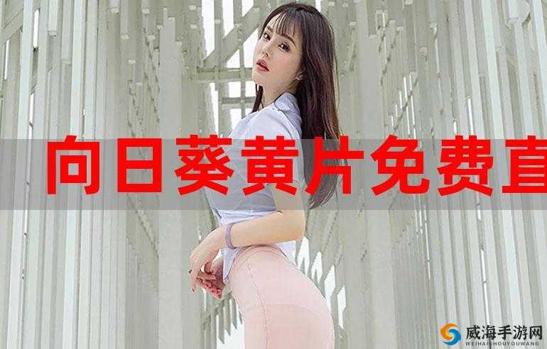 免费的成年人性视频网站：无限畅享精彩大片