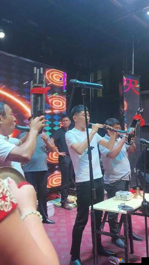 野花视频直播在线观看：畅享精彩直播盛宴