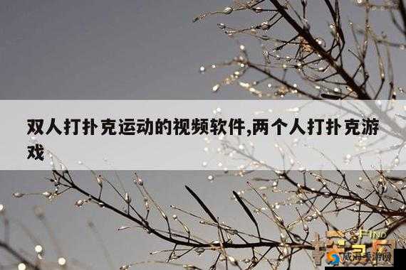 免费做运动视频扑克视频网：提供丰富多样的视频内容