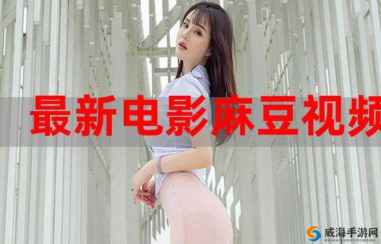 精品视频密麻豆入口:畅享视觉盛宴的私密花园