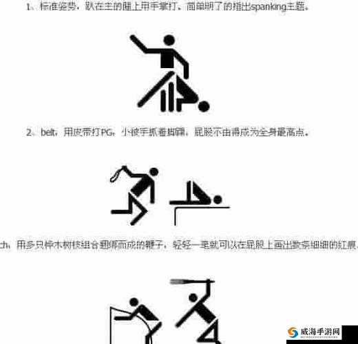 s 把 m 骂湿该如何理解的深入探讨
