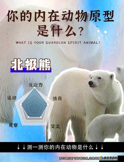 欧美videosdesexn 动物相关内容探索