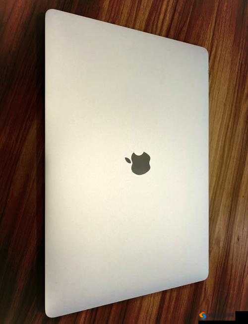 19 岁 macbookpro 未满 16 岁背后隐藏的故事与真相