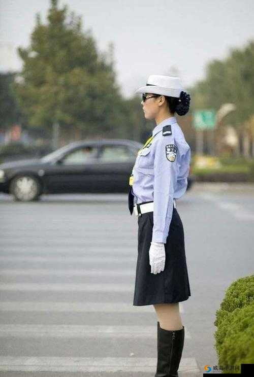 女交警：职责与奉献的典范