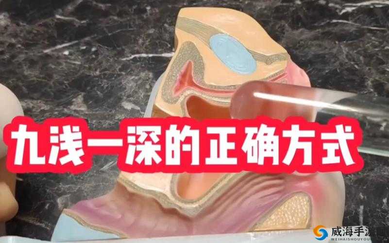 九浅一深正确使用方法:深度解析与技巧指南