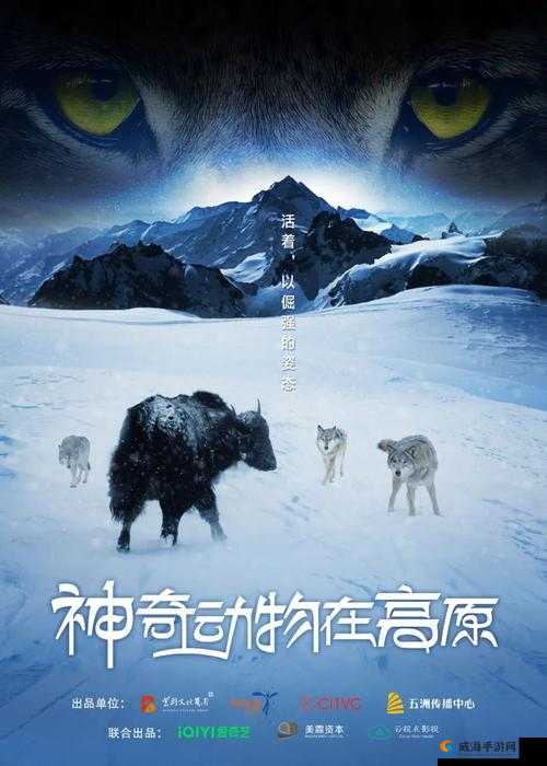 大地资源网高清免费播放：呈现精彩影视世界