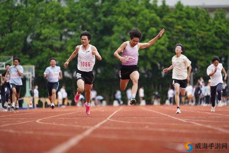 校园运动会：青春飞扬活力无限的体育盛事