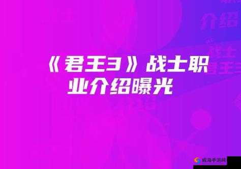 君王3游侠职业详细介绍，策略、管理与价值最大化