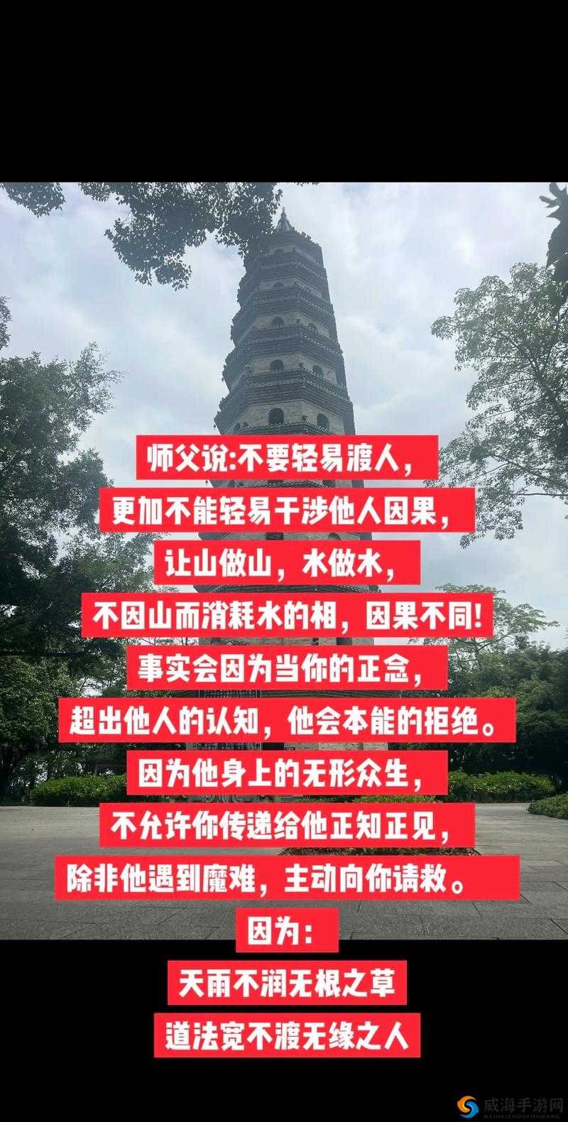 师父不可以限：一段禁忌之缘引发的情感纠葛