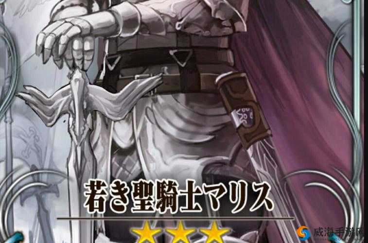 锁链战记中的年轻圣骑士马里斯,荣耀与成长的交织