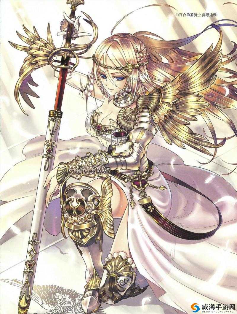 锁链战记女骑士属性全揭秘,荣耀与守护的化身