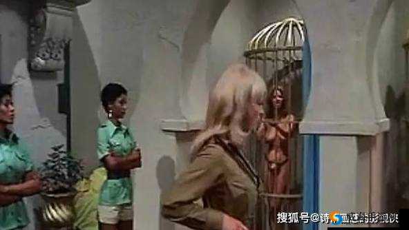被抵在树干上的军妓嗯嗯啊啊:探索战争背后的人性挣扎
