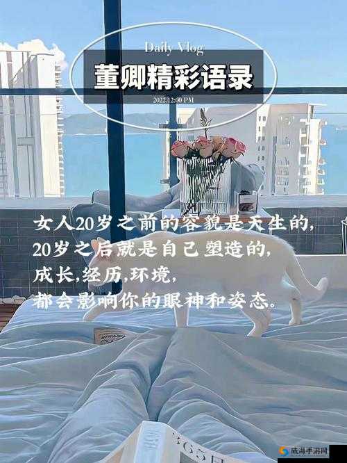 片多多 3999HCC:带来前所未有的精彩体验