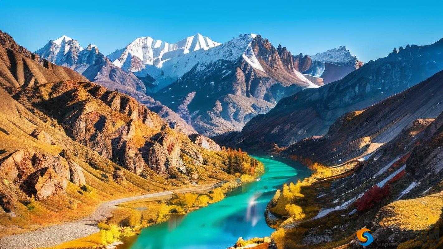 高清 windows 免费版观看：让你享受极致视觉体验的最佳选择