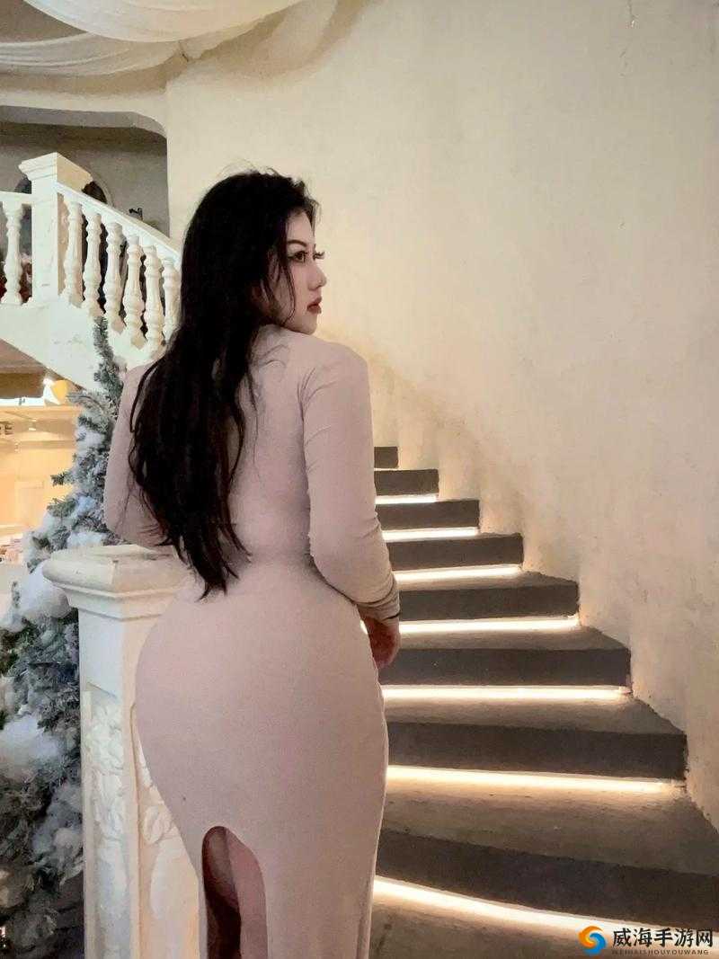 bbwbbwbbwbbwbbw40 视线再次聚焦:相关内容详细解析与探讨