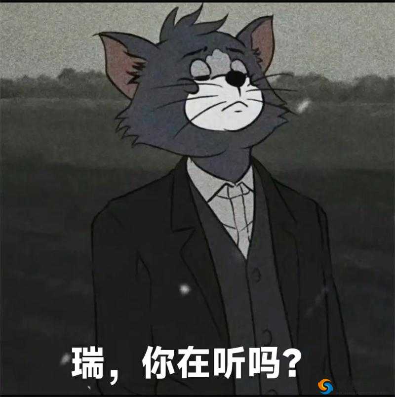 汤姆影院 tom 最新地域网名怎么取:带你探索不一样的影视世界
