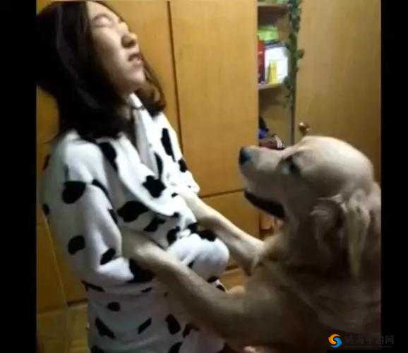 免费看成年人做 XXOO 视频图片：打造私密私人空间