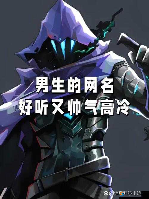 锁链战记中的冷刃剑士印藤，冰霜之心的战士