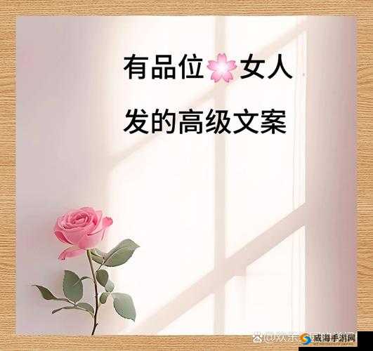 美人记，解锁魅力，充值生活的艺术