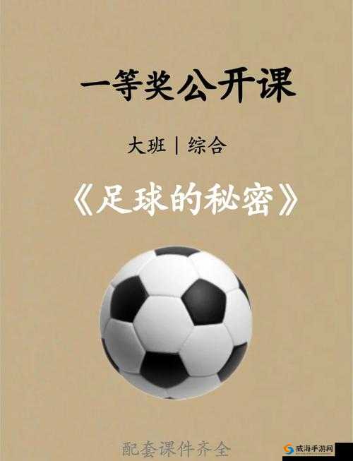 足球激情与策略并重，探索胜利足球的奥秘