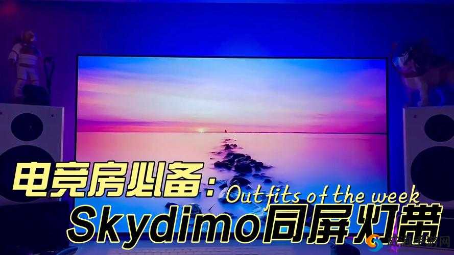 蘑菇视频:点亮你的视界