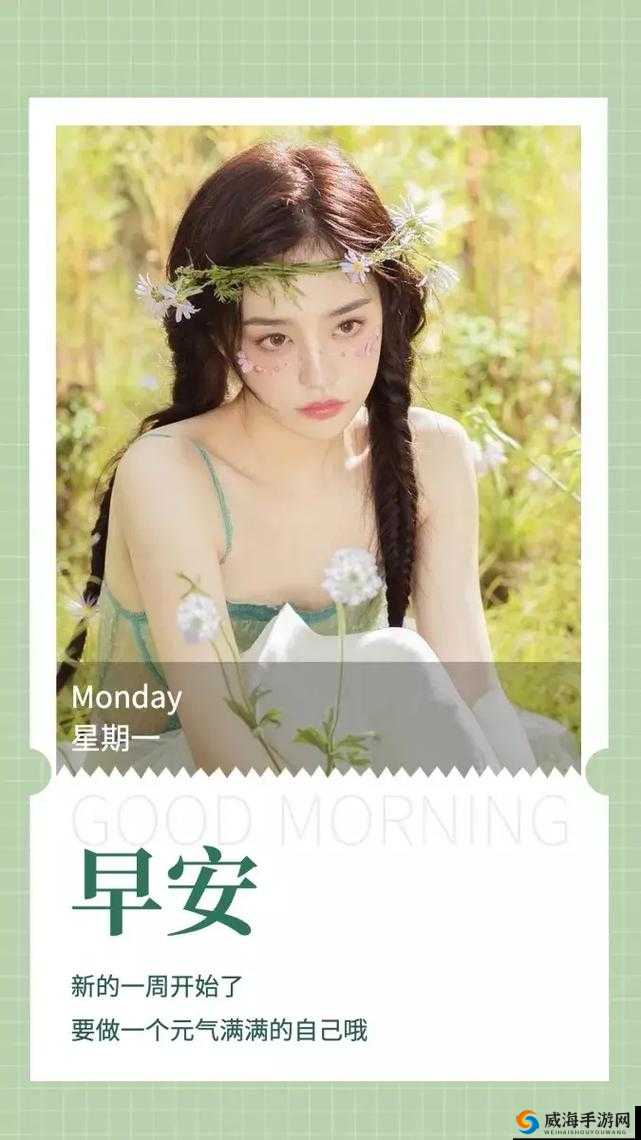 星期一的丰满:开启元气满满新一周的奇妙之旅