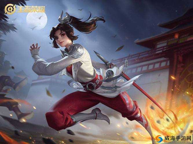 赤焰之缨：云缨的长戗，舞动的烈焰与正义