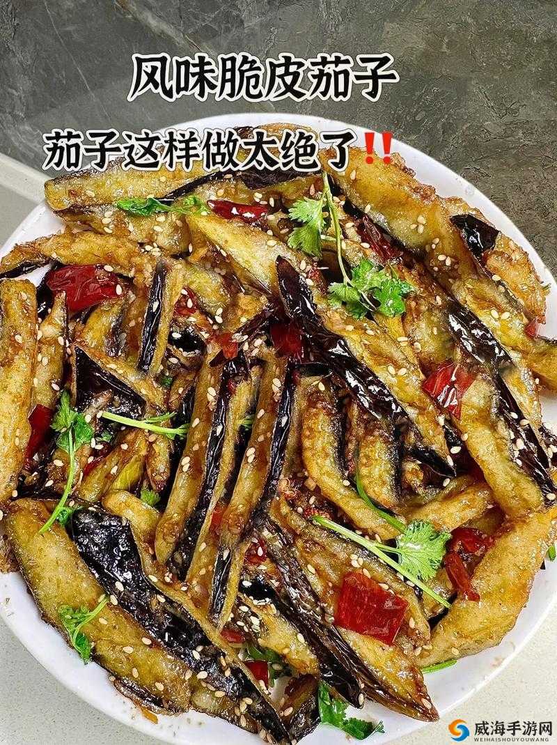 第一次用茄子的独特体验与感受