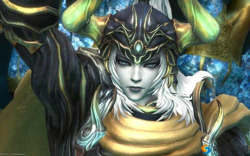 神域之光战士，近战艺术的巅峰